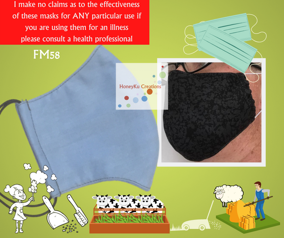 Adult Dust Face Mask FM58